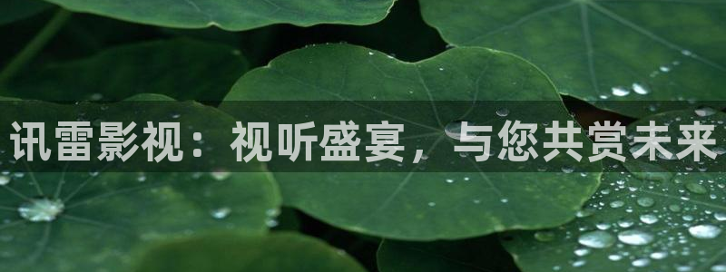 长安三万里星辰影院：讯雷影视：视听盛宴，与您共赏未来