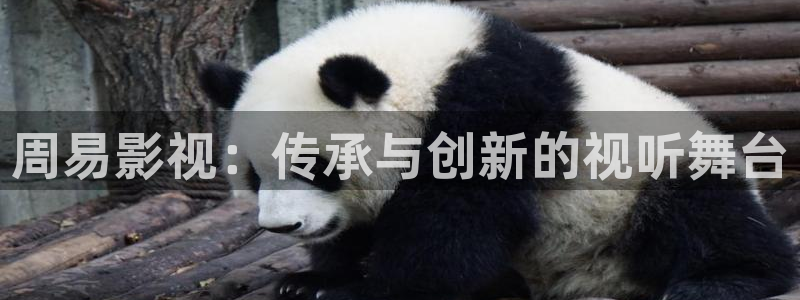 为有暗香来星辰影院在线观看