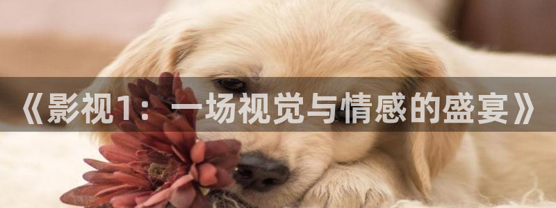 一念永恒免费看星辰影院